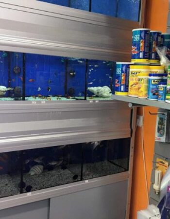 BOBOS PET SHOP ΚΤΗΝΙΑΤΡΙΚΑ ΕΙΔΗ ΚΑΡΤΕΡΑΔΟΣ ΣΑΝΤΟΡΙΝΗ