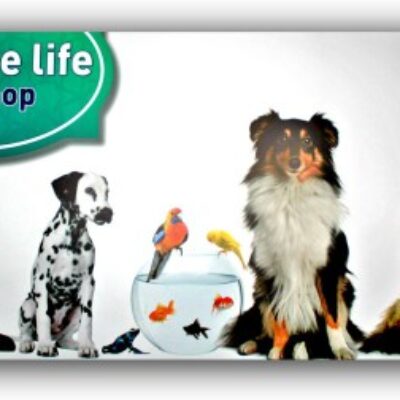 PARADISE LIFE PET SHOP ΖΩΟΤΡΟΦΕΣ ΕΥΟΣΜΟΣ ΘΕΣΣΑΛΟΝΙΚΗ