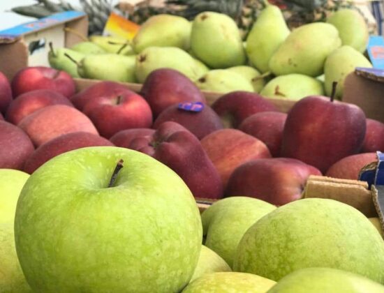 ΤΣΩΚΟΣ ΕΜΠΟΡΙΟ ΦΡΟΥΤΩΝ ΛΑΧΑΝΙΚΩΝ ΧΑΛΚΙΔΑ ΕΥΒΟΙΑΣ