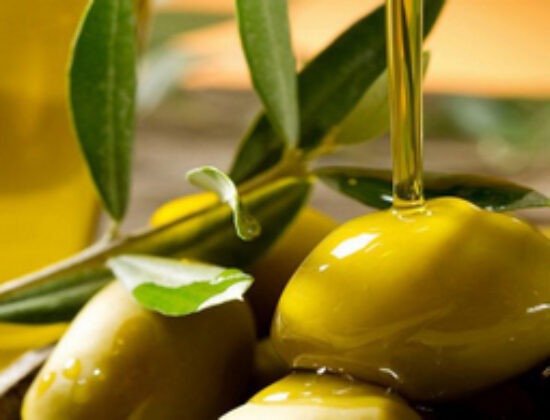 ΦΙΛΙΠΠΙΔΗΣ ΠΑΡΑΓΩΓΗ ΕΛΙΕΣ ΕΛΑΙΟΤΡΙΒΕΙΟ ΒΟΛΟΣ